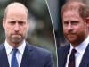 Prince William's unexpected stance on Prince Harry security issue laid bare