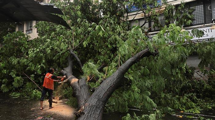 Six killed in Mumbai building collapse as monsoon rains flood city