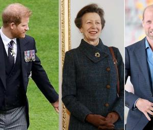 Prince William's reaction to Harry's security, reunion laid bare