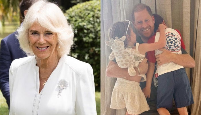 Queen Camilla gives surprise to Harry with warm wish for Archie, Lilibet