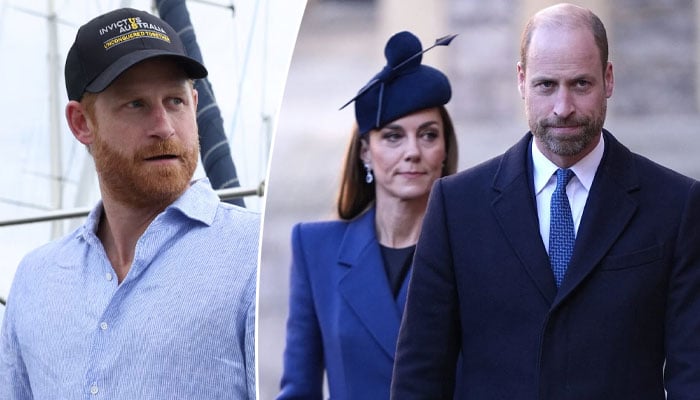Prince Harry’s desperate olive branch to Prince William unveiled
