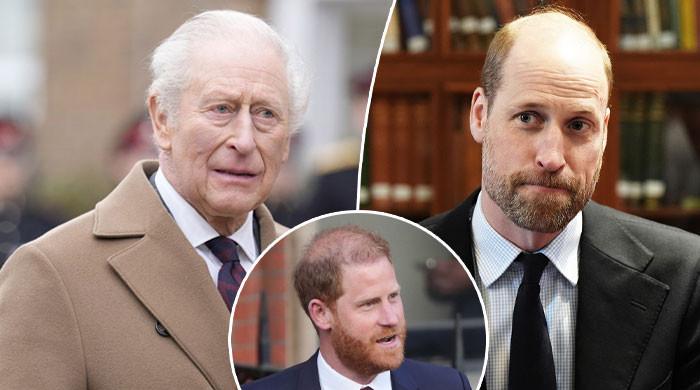 King Charles ‘holds talks' with Prince William over Harry ordeal