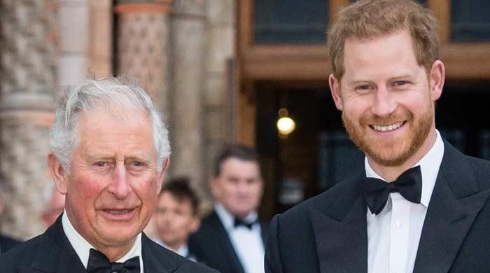 King Charles makes it clear: 'No one will harm Prince Harry'