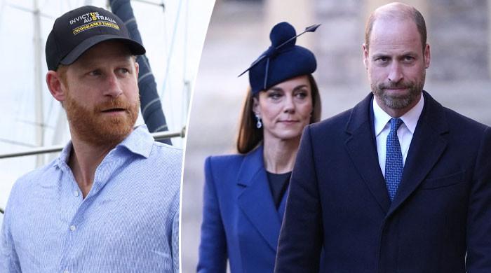 Prince Harry's desperate olive branch to Prince William unveiled