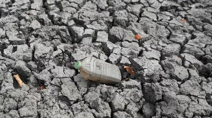 El Nino is expected 'to break records': top expert