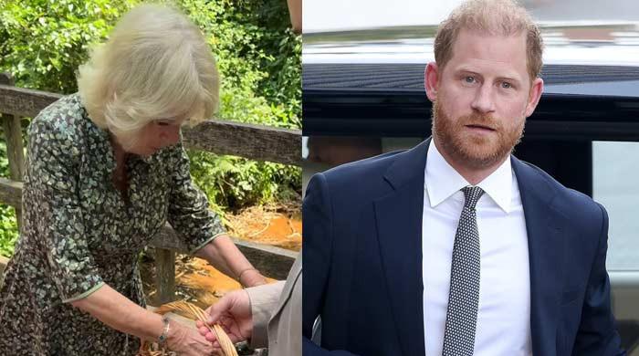 Palace drops surprise Queen Camilla video as Britain welcomes Harry home