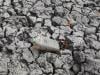 El Nino is expected 'to break records': top expert