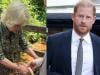 Palace drops surprise Queen Camilla video as Britain welcomes Harry home