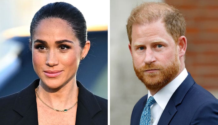 Meghan Markle takes wise decision after Harry’s UK plans suffer blow