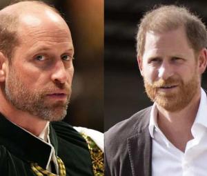 Prince Harry surprises royals with secret visit for confidential meeting
