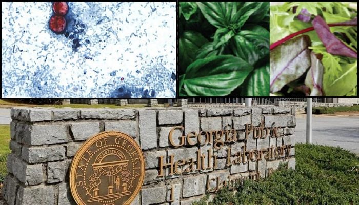Georgia health officials warn Cyclospora rise amid national uptick in parasite infections