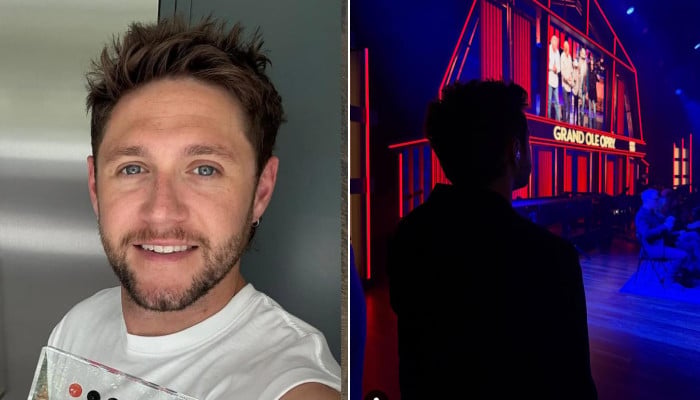 Niall Horan 'shaking' over huge career milestone: 'What a dream come true'