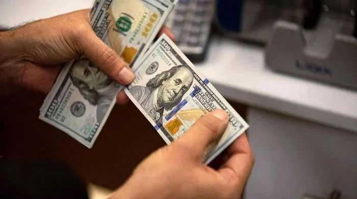 Workers' remittances rise 8.6% to $41.6bn in FY26