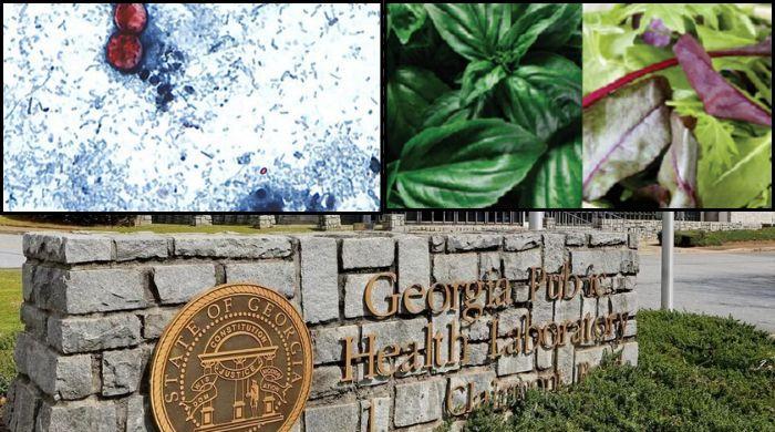 Georgia health officials warn Cyclospora rise amid national uptick in parasite infections