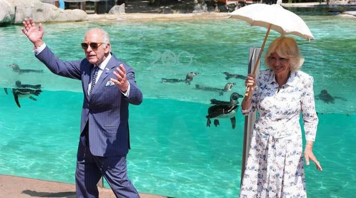 King Charles steps out for surprise appointment as Harry looks at ease 