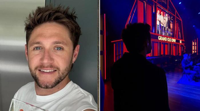 Niall Horan 'shaking' over huge career milestone: 'What a dream come true'