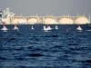 Govt issues emergency LNG tender after 'Qatari shipment aborted'