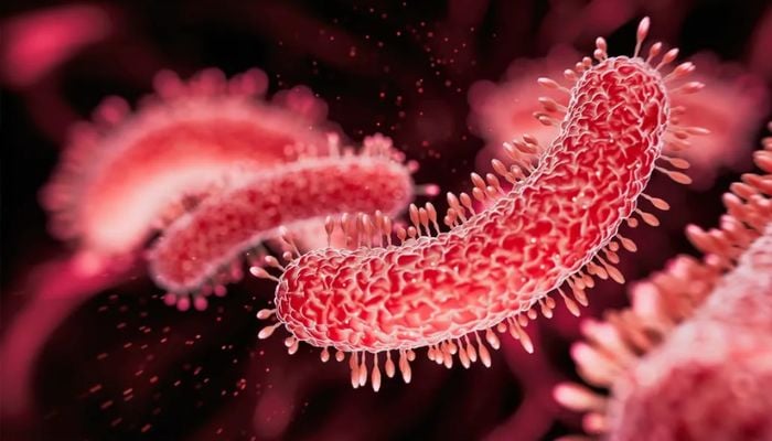 Legionnaires’ outbreak hits New York’s Upper East Side: Here’s what you need to know