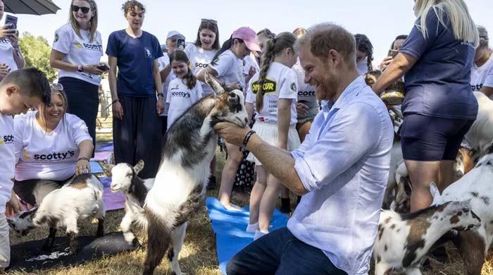 Prince Harry breaks cover after meeting with King Charles