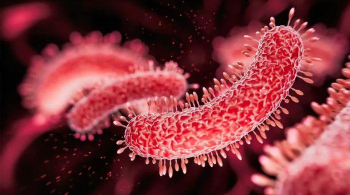 Legionnaires' outbreak hits New York's Upper East Side: Here's what you need to know