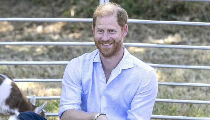 Prince Harry prompts heartfelt reaction after small child gives verdict on the royal