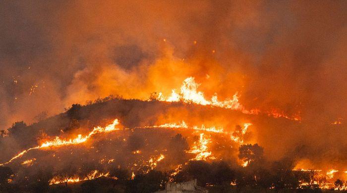 Spain battles deadly wildfires as death toll reaches 12 in one of country's worst blazes 