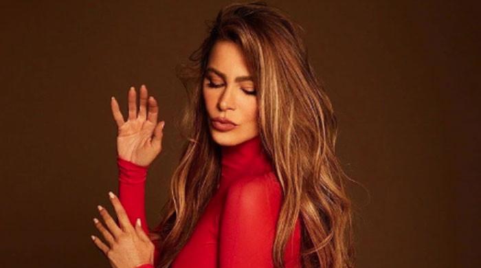Sofía Vergara proves age is just a number with sizzling birthday photo