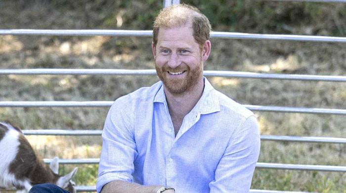 Britons give verdict on Prince Harry after one key engagement in UK