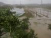 Typhoon Bavi batters eastern China, threatens days of heavy rain