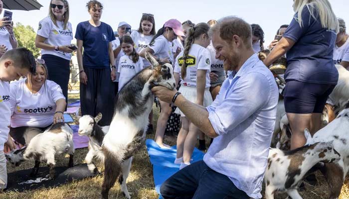 Prince Harry injured in unexpected UK encounter