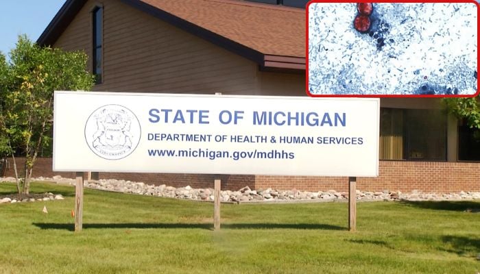 Michigan health officials trace Cyclosporas potential source in salad greens: details inside
