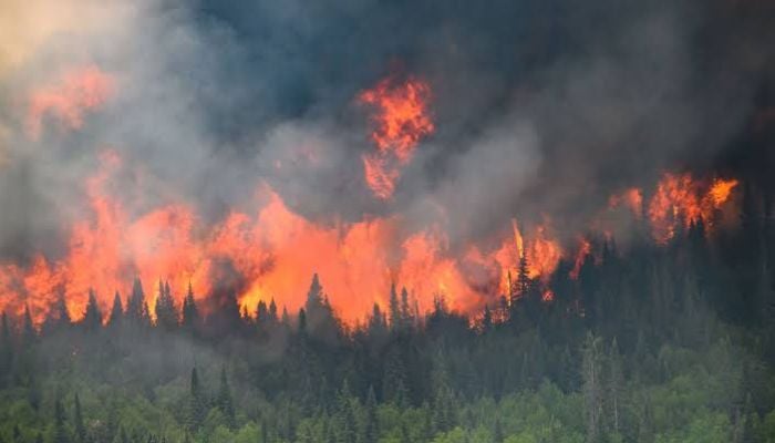 Canadian wildfires smoke drifts into Northern US, triggering air quality alerts