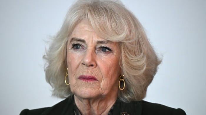 Queen Camilla plays key role in King Charles meeting with Harry, Meghan