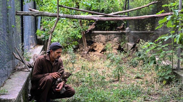 Wildlife rescuers help birds survive Pakistan's hotter summers