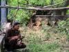 Wildlife rescuers help birds survive Pakistan's hotter summers