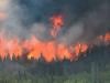 Canadian wildfires smoke drifts into Northern US, triggering air quality alerts