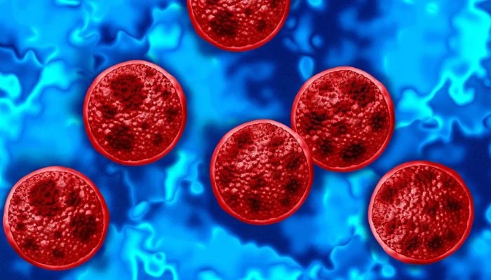 Trumps CDC fund cuts responsible for cyclosporiasis outbreak? Heres how
