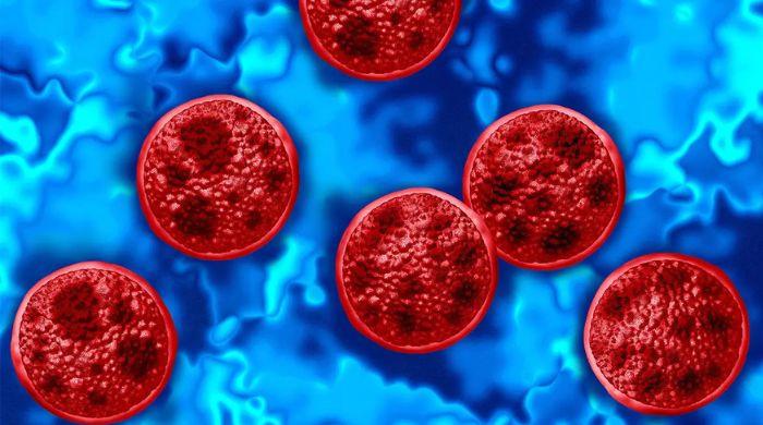 List of foods to avoid cyclosporiasis: Here are items linked to parasite outbreaks 