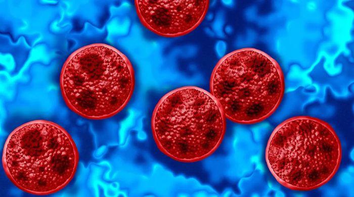 Trump's CDC fund cuts responsible for cyclosporiasis outbreak? Here's how