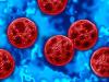 Trump's CDC fund cuts responsible for cyclosporiasis outbreak? Here's how