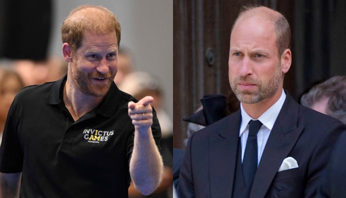 Prince Harry bombshell plan creates divide between King Charles, William