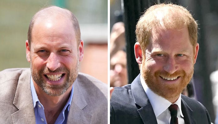 Princes William, Harry chances of reunion laid bare after Highgrove visit