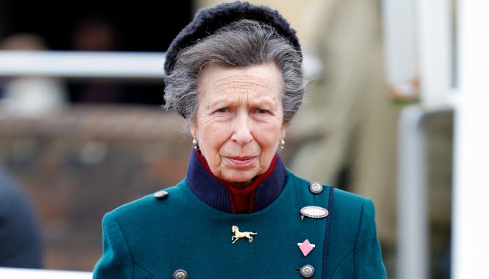 Palace sparks reactions with Princess Anne new video: Creepy