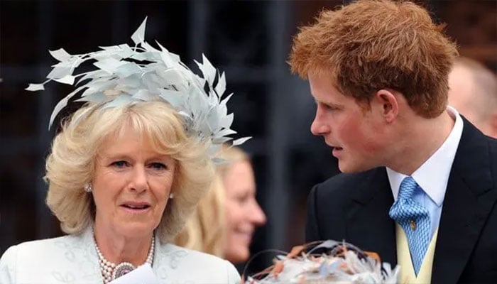 Queen Camilla plays key role in Prince Harry and King Charles reunion