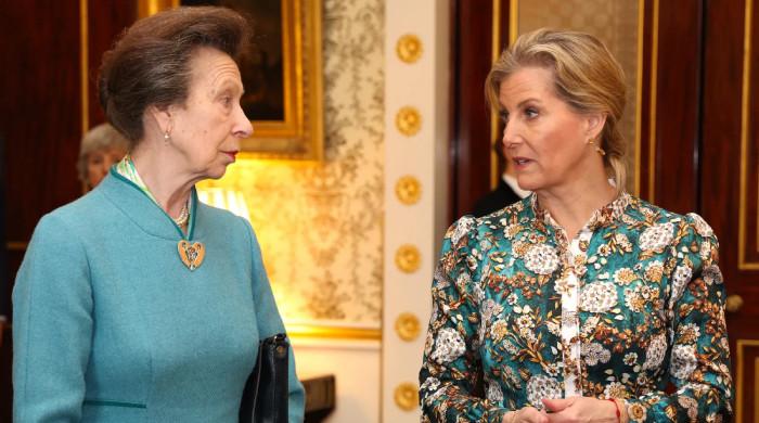 Princess Anne takes leaf out of Duchess Sophie book with uplifting message