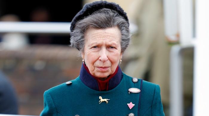 Palace sparks reactions with Princess Anne new video: 'Creepy'