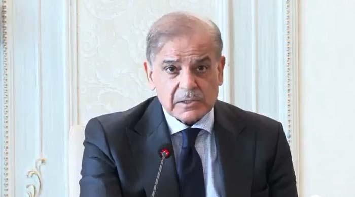 PM Shehbaz warns renewed Middle East tensions could impact Pakistan's economy