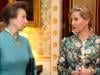 Princess Anne takes leaf out of Duchess Sophie book with uplifting message