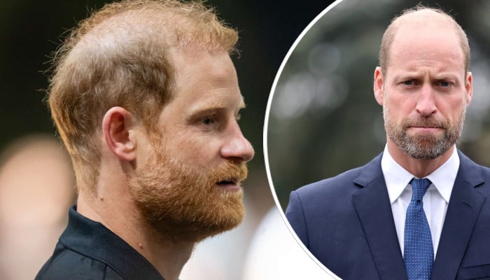 Prince Harry shares William's pain in first message after royal meeting