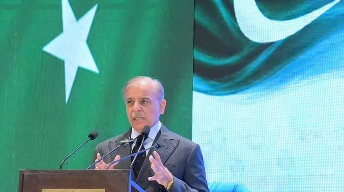 Security of Chinese nationals remains govt's top priority, assures PM Shehbaz